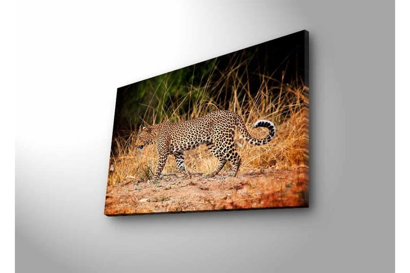 Veggdekorasjon LED-belysning Canvas Bilde - Innredning - Bilder & kunst - Lerretsbilder