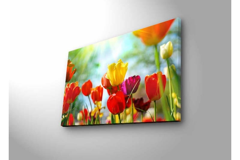 Veggdekorasjon LED-belysning Canvas Bilde - Innredning - Bilder & kunst - Lerretsbilder