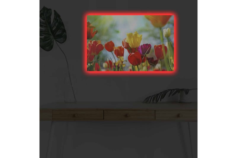 Veggdekorasjon LED-belysning Canvas Bilde - Innredning - Bilder & kunst - Lerretsbilder