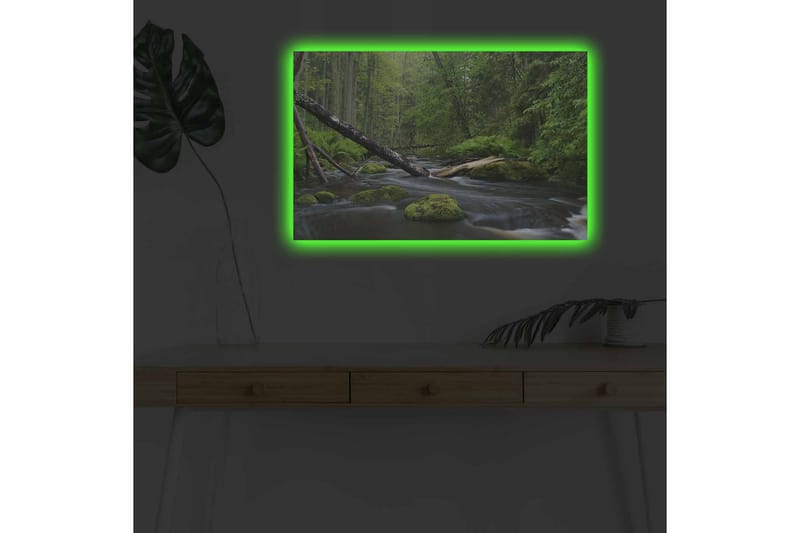 Veggdekorasjon LED-belysning Canvas Bilde - Innredning - Bilder & kunst - Lerretsbilder