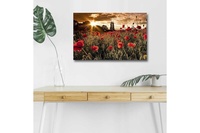 Veggdekorasjon LED-belysning Canvas Bilde - Innredning - Bilder & kunst - Lerretsbilder