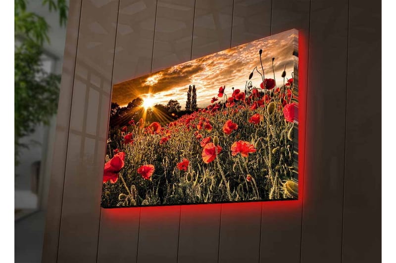 Veggdekorasjon LED-belysning Canvas Bilde - Innredning - Bilder & kunst - Lerretsbilder