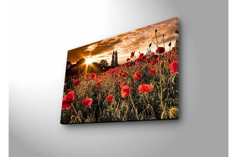 Veggdekorasjon LED-belysning Canvas Bilde - Innredning - Bilder & kunst - Lerretsbilder