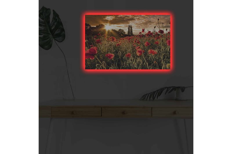 Veggdekorasjon LED-belysning Canvas Bilde - Innredning - Bilder & kunst - Lerretsbilder