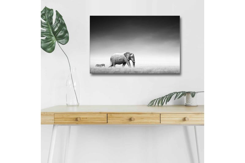 Veggdekorasjon LED-belysning Canvas Bilde - Innredning - Bilder & kunst - Lerretsbilder