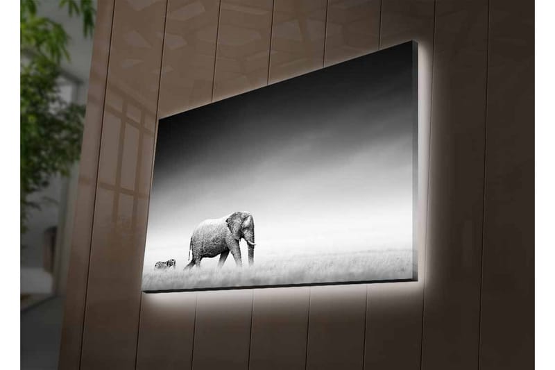 Veggdekorasjon LED-belysning Canvas Bilde - Innredning - Bilder & kunst - Lerretsbilder