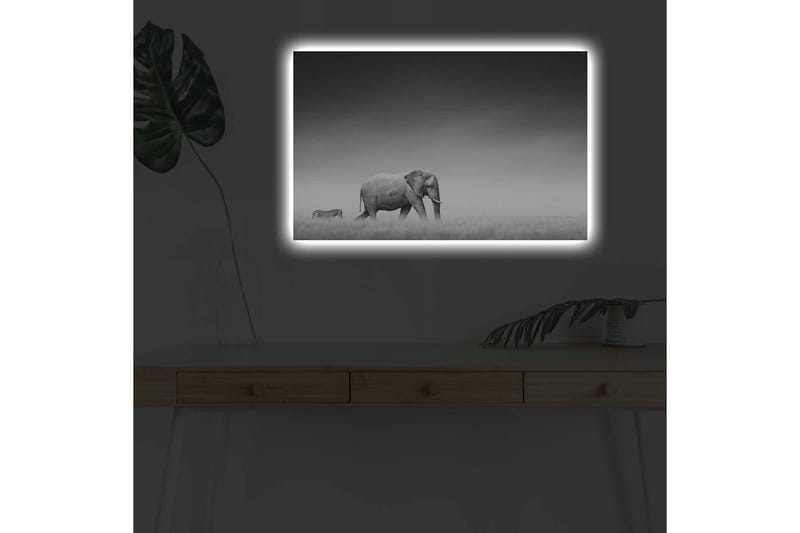 Veggdekorasjon LED-belysning Canvas Bilde - Innredning - Bilder & kunst - Lerretsbilder