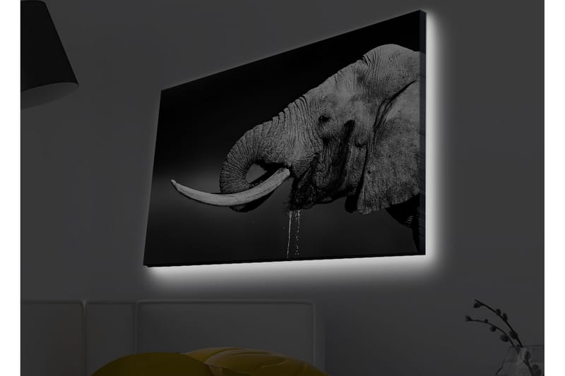 Veggdekorasjon LED-belysning Canvas Bilde - Innredning - Bilder & kunst - Lerretsbilder