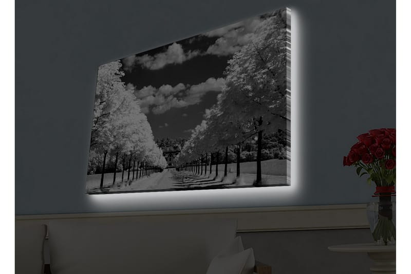 Veggdekorasjon LED-belysning Canvas Bilde - Innredning - Bilder & kunst - Lerretsbilder