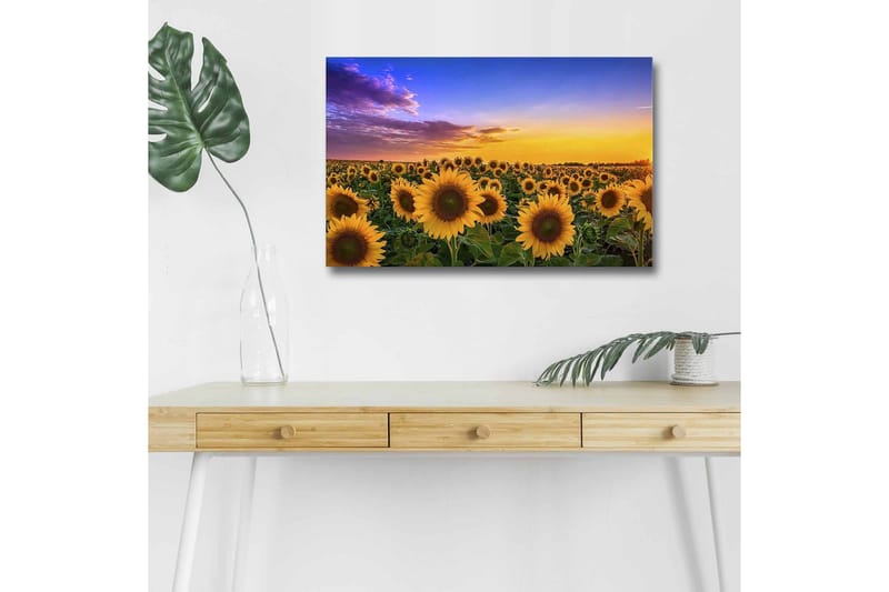 Veggdekorasjon LED-belysning Canvas Bilde - Innredning - Bilder & kunst - Lerretsbilder