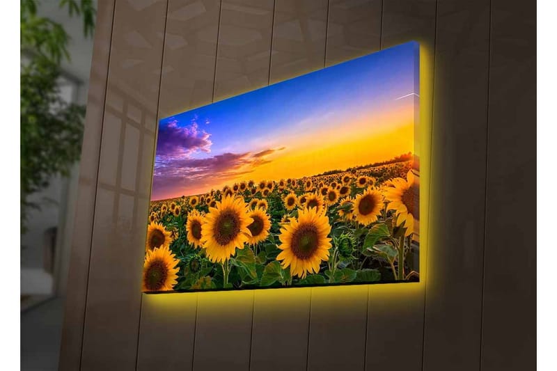 Veggdekorasjon LED-belysning Canvas Bilde - Innredning - Bilder & kunst - Lerretsbilder