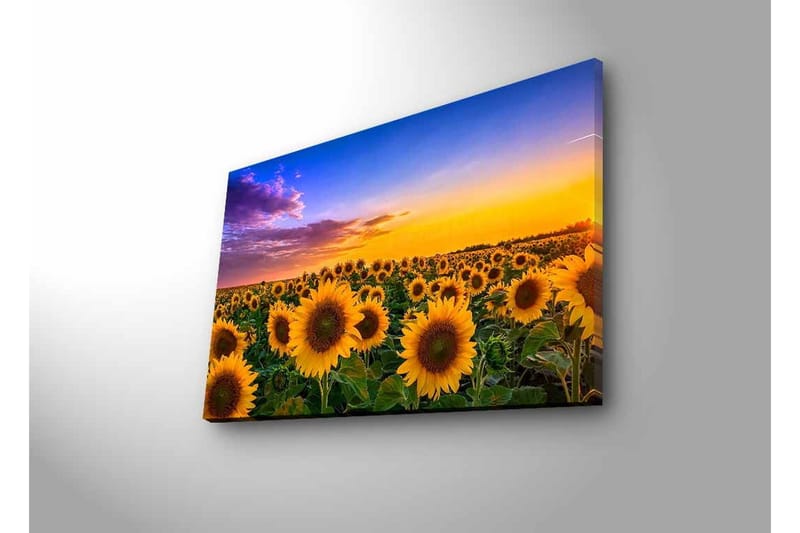 Veggdekorasjon LED-belysning Canvas Bilde - Innredning - Bilder & kunst - Lerretsbilder