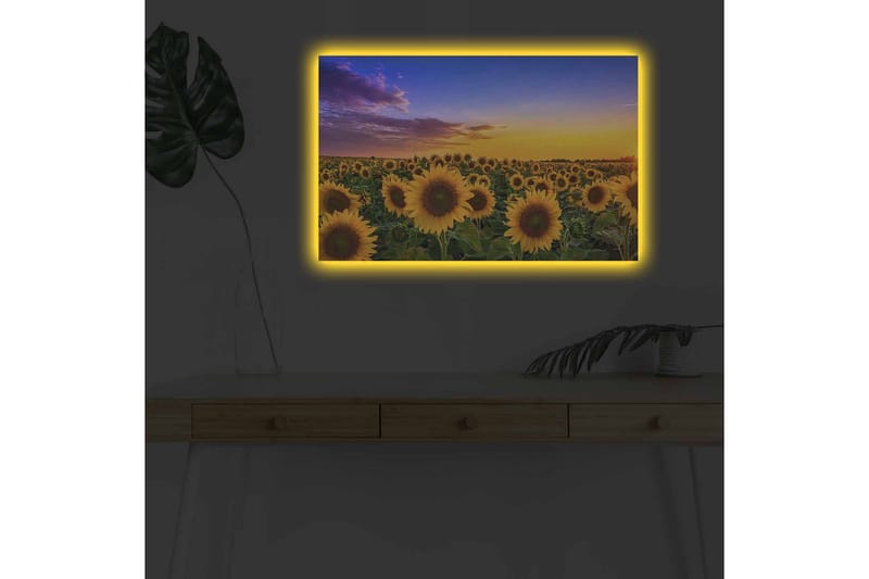 Veggdekorasjon LED-belysning Canvas Bilde - Innredning - Bilder & kunst - Lerretsbilder