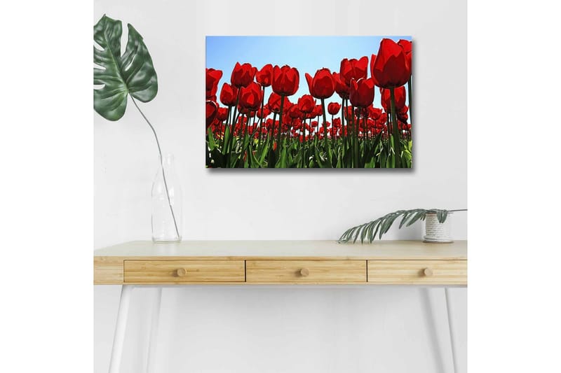 Veggdekorasjon LED-belysning Canvas Bilde - Innredning - Bilder & kunst - Lerretsbilder