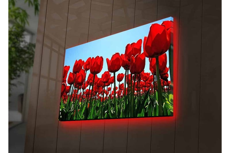 Veggdekorasjon LED-belysning Canvas Bilde - Innredning - Bilder & kunst - Lerretsbilder