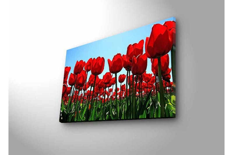 Veggdekorasjon LED-belysning Canvas Bilde - Innredning - Bilder & kunst - Lerretsbilder