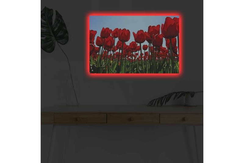 Veggdekorasjon LED-belysning Canvas Bilde - Innredning - Bilder & kunst - Lerretsbilder