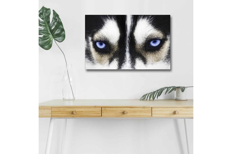 Veggdekorasjon LED-belysning Canvas Bilde - Innredning - Bilder & kunst - Lerretsbilder