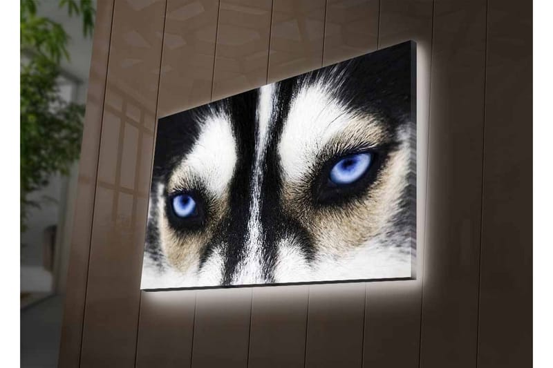 Veggdekorasjon LED-belysning Canvas Bilde - Innredning - Bilder & kunst - Lerretsbilder