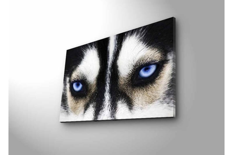 Veggdekorasjon LED-belysning Canvas Bilde - Innredning - Bilder & kunst - Lerretsbilder