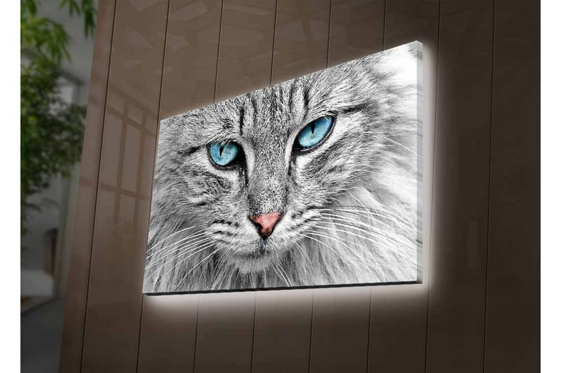 Veggdekorasjon LED-belysning Canvas Bilde - Innredning - Bilder & kunst - Lerretsbilder