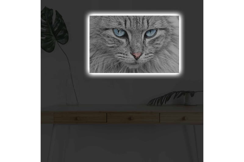 Veggdekorasjon LED-belysning Canvas Bilde - Innredning - Bilder & kunst - Lerretsbilder