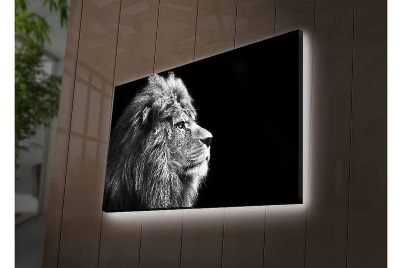 Veggdekorasjon LED-belysning Canvas Bilde - Innredning - Bilder & kunst - Lerretsbilder