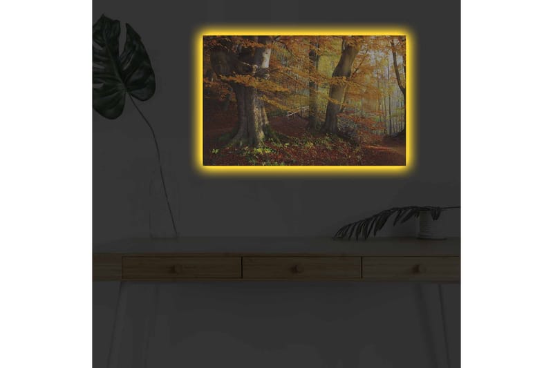 Veggdekorasjon LED-belysning Canvas Bilde - Innredning - Bilder & kunst - Lerretsbilder