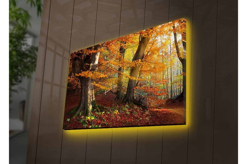 Veggdekorasjon LED-belysning Canvas Bilde - Innredning - Bilder & kunst - Lerretsbilder