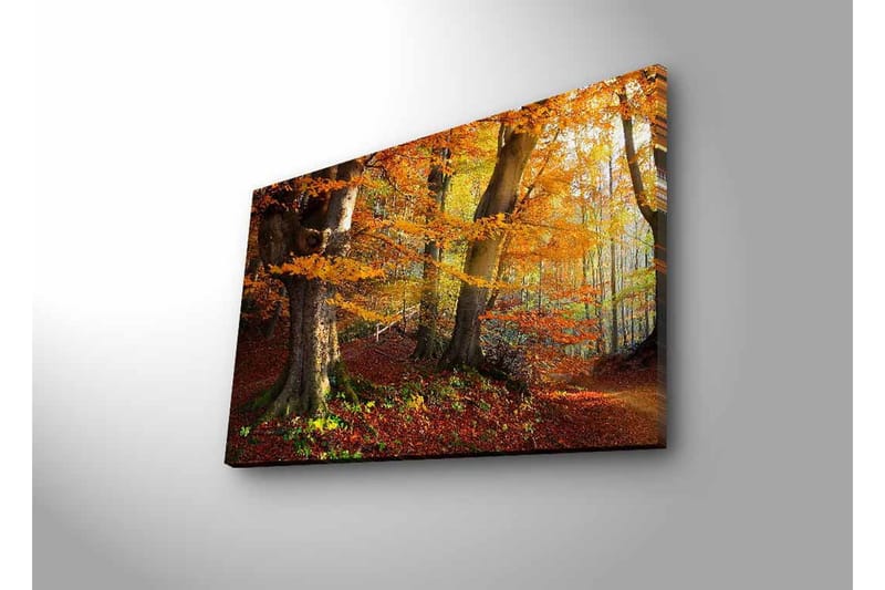 Veggdekorasjon LED-belysning Canvas Bilde - Innredning - Bilder & kunst - Lerretsbilder