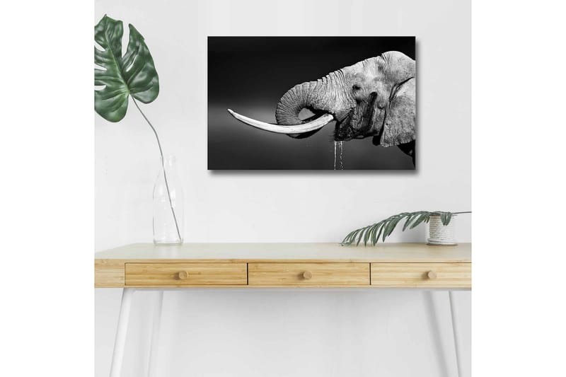 Veggdekorasjon LED-belysning Canvas Bilde - Innredning - Bilder & kunst - Lerretsbilder