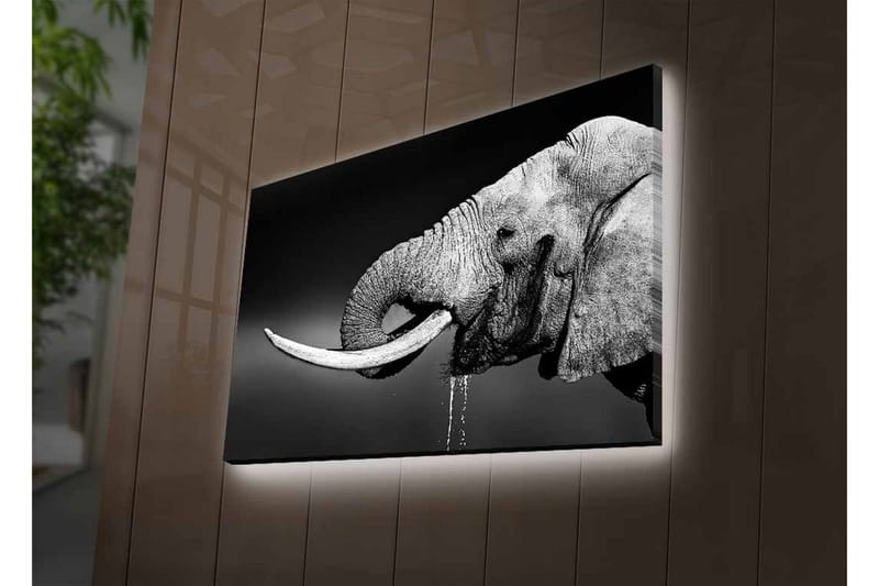 Veggdekorasjon LED-belysning Canvas Bilde - Innredning - Bilder & kunst - Lerretsbilder