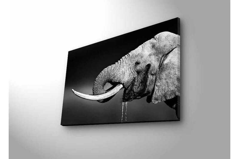 Veggdekorasjon LED-belysning Canvas Bilde - Innredning - Bilder & kunst - Lerretsbilder