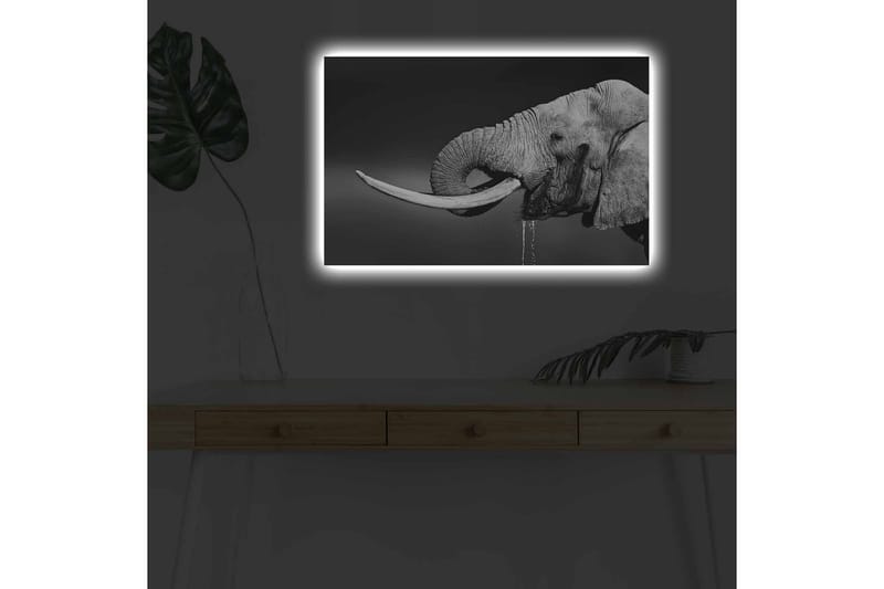 Veggdekorasjon LED-belysning Canvas Bilde - Innredning - Bilder & kunst - Lerretsbilder