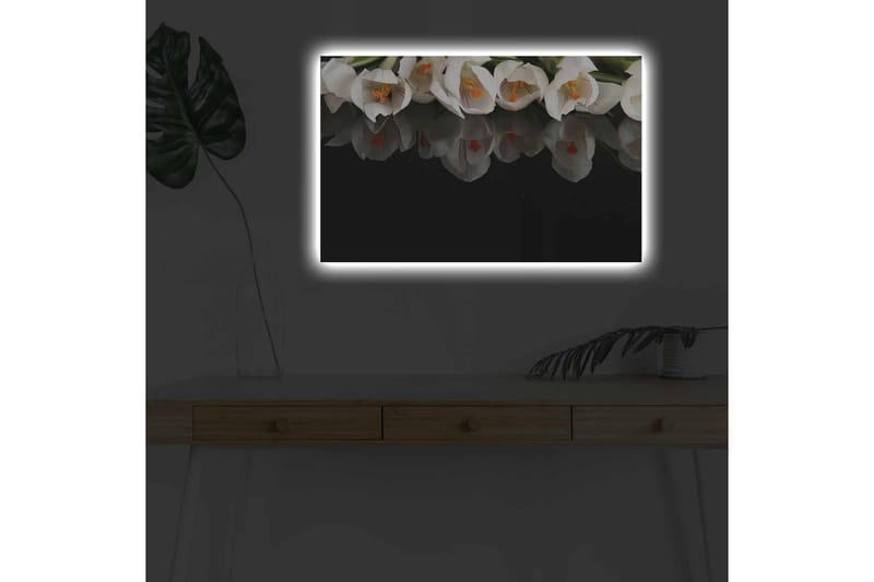 Veggdekorasjon LED-belysning Canvas Bilde - Innredning - Bilder & kunst - Lerretsbilder