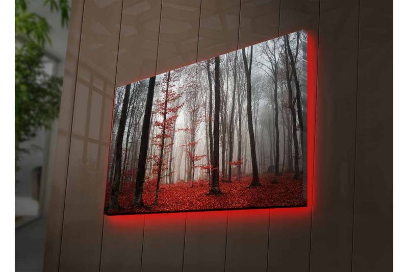 Veggdekorasjon LED-belysning Canvas Bilde - Innredning - Bilder & kunst - Lerretsbilder