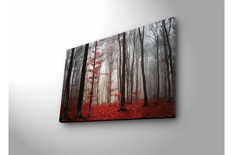 Veggdekorasjon LED-belysning Canvas Bilde - Innredning - Bilder & kunst - Lerretsbilder