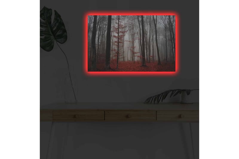 Veggdekorasjon LED-belysning Canvas Bilde - Innredning - Bilder & kunst - Lerretsbilder