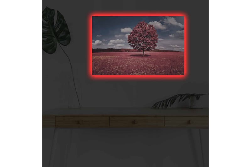 Veggdekorasjon LED-belysning Canvas Bilde - Innredning - Bilder & kunst - Lerretsbilder