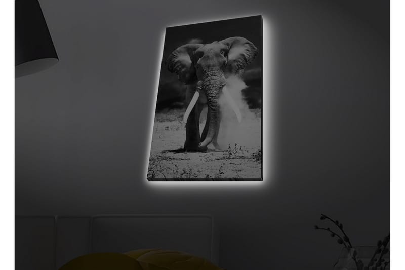 Veggdekorasjon LED-belysning Canvas Bilde - Innredning - Bilder & kunst - Lerretsbilder