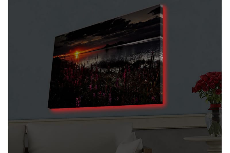 Veggdekorasjon LED-belysning Canvas Bilde - Innredning - Bilder & kunst - Lerretsbilder