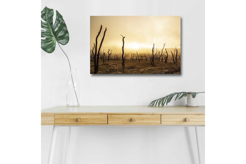 Veggdekorasjon LED-belysning Canvas Bilde - Innredning - Bilder & kunst - Lerretsbilder