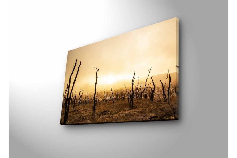 Veggdekorasjon LED-belysning Canvas Bilde - Innredning - Bilder & kunst - Lerretsbilder