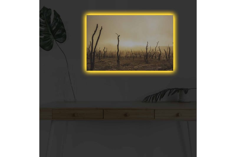 Veggdekorasjon LED-belysning Canvas Bilde - Innredning - Bilder & kunst - Lerretsbilder