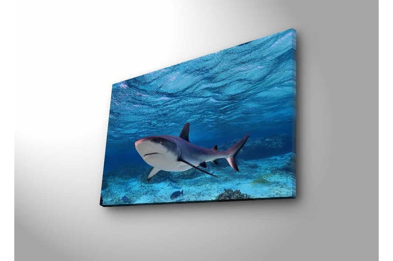 Veggdekorasjon LED-belysning Canvas Bilde - Innredning - Bilder & kunst - Lerretsbilder