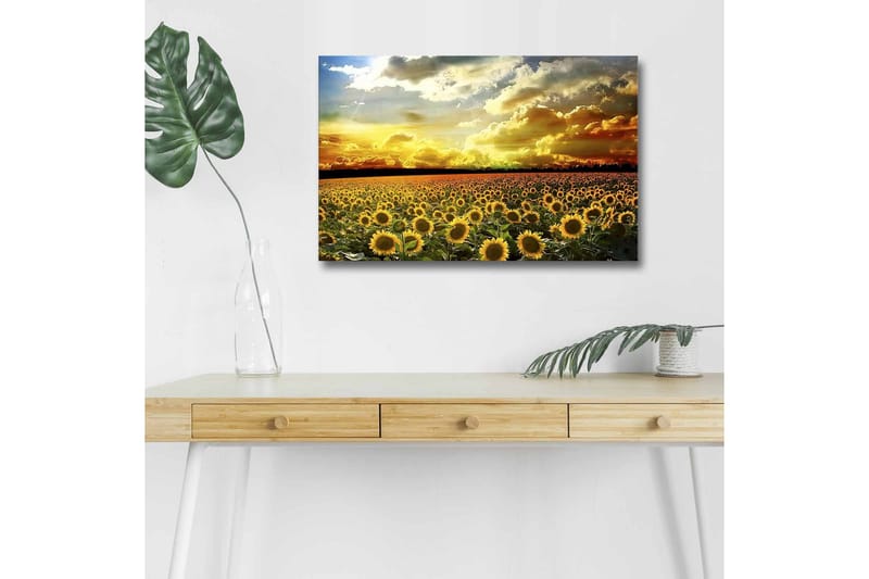 Veggdekorasjon LED-belysning Canvas Bilde - Innredning - Bilder & kunst - Lerretsbilder