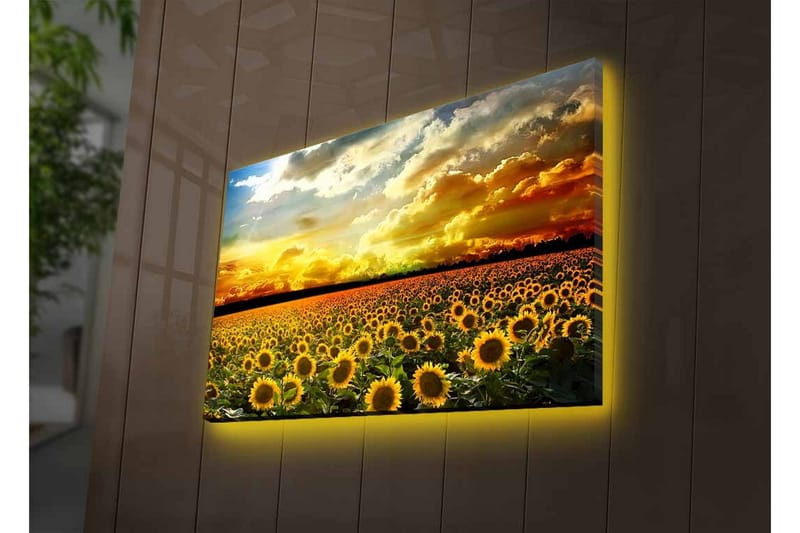 Veggdekorasjon LED-belysning Canvas Bilde - Innredning - Bilder & kunst - Lerretsbilder