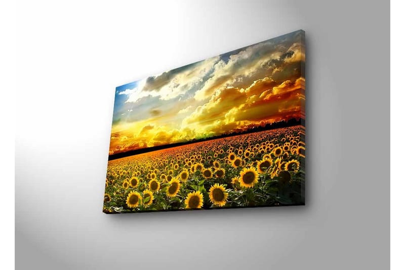 Veggdekorasjon LED-belysning Canvas Bilde - Innredning - Bilder & kunst - Lerretsbilder