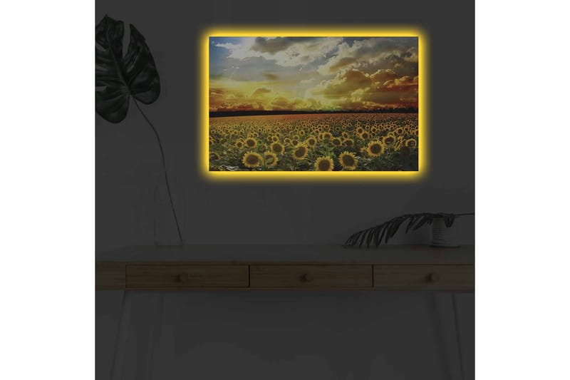 Veggdekorasjon LED-belysning Canvas Bilde - Innredning - Bilder & kunst - Lerretsbilder