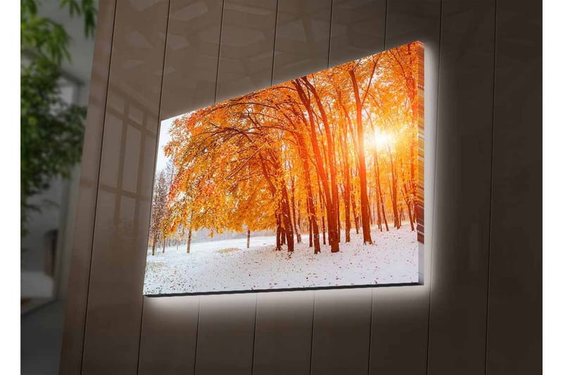 Veggdekorasjon LED-belysning Canvas Bilde - Innredning - Bilder & kunst - Lerretsbilder